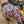 TBM FIST Gloves & Grips