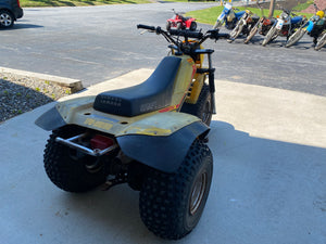 Yamaha Tri Moto